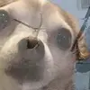 Daniel Ruiz - @danruch07 - TikTok