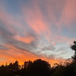 Dan Rudolph - @dandarksmoke - Instagram