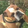 Danielle - @danrush81 - TikTok