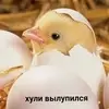Данила Дорошин - @danrussian - TikTok