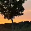 Dan - @dan.russo_21 - TikTok