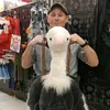 Dan - @danrutledge1 - TikTok