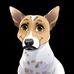Dan Rutledge - Facebook
