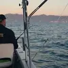 Daniel Sajdak - @daniel.sajdak - TikTok