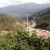 Dan S Salas - Facebook