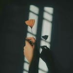 3rotavlasnadi - @dansalvator3 - Instagram
