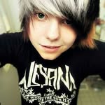 dan_cat_ - @dan_salvato_ - Instagram