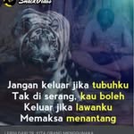 @dans_aman - Instagram