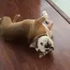 Dannie - @dannie.sample03 - TikTok