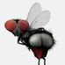 Dan Samudio - Facebook