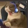 dan - @dansamuel26 - TikTok