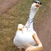 dansanchez000 - @dansanchez000 - TikTok