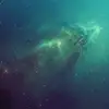 Daniel Sandow - @daniel.sandow - TikTok
