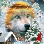 Dan Sandu - @dan.sandu.5815 - Instagram