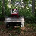 Dan Sandu - @dan.sandu.1291 - Instagram