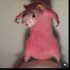 Sher - @sheridansanford - TikTok