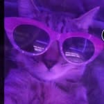 Dan sanker p - @dansankerp - Instagram