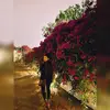 Dana K Santamaria - @danaksantamaria - TikTok