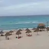 dannysarao - @dannysarao - TikTok