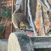 Dan Sargeant - @dan.sargeant - TikTok