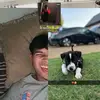 Daniel Sarmiento 🇭🇳 - @sarmiento4623 - TikTok