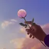 dansas 😇 - @dansas.2024 - TikTok