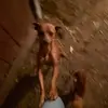 Dan Sasu - @dan.sasu2 - TikTok