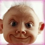 Dan Sauer - @dansauer74 - Instagram