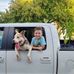 Dan Saul - Facebook