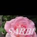 Dan Karamin Sauro Sarbi - Facebook