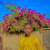 Saner Dan Hajiya - Facebook