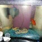 dan sawdon - @dragondan27 - Instagram