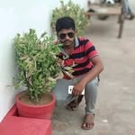 Dan Saxena Saxena - @dansaxenasaxena - Instagram