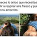 Dan Scar - Facebook