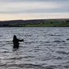 danscarr7 - @danscarr7 - TikTok