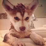Dan Schaaf - @dan.schaaf.792 - Instagram
