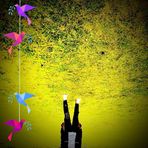 Danty Schaddler - Facebook
