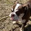 Dan Schaden - @danschaden7839 - TikTok