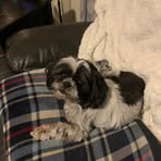 Dan Schaffer - Facebook