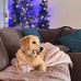 Dan Schalk - Facebook