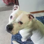 Dan Schroeder - Facebook