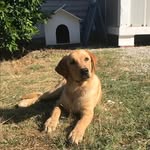 Dan Scotti - @dan.scotti - Instagram