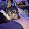 Daniel Sedgwick - @daniel.sedgwick8 - TikTok