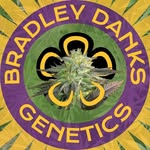 Bradley Danks - @bradleydankzseeds - Instagram