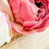 Prashant_Dongarwar - @seeds.mcdan019 - TikTok