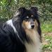 Daniela Seidler - Facebook