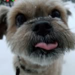 Dan Seitz - @dwseitz67 - Instagram