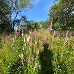 @seitz_dan_ - Instagram