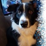 Dan Seltzer - @dan.seltzer.50 - Instagram