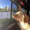 danny - @danny.seltzer - TikTok